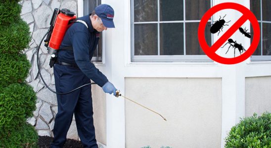 Çukurca Karınca İlaçlama böcek ilaçlama ve haşere kontrolü — ilaclama-tr.com
